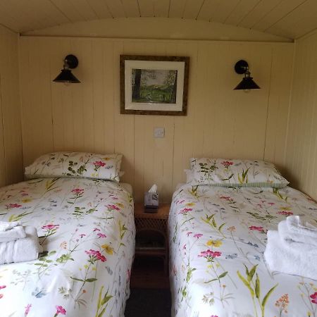 Vila Rhydydefaid Cwt Clyd - Cosy Hut Bala Exteriér fotografie