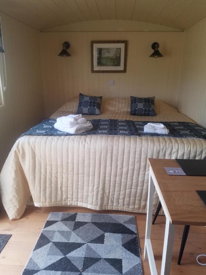 Vila Rhydydefaid Cwt Clyd - Cosy Hut Bala Exteriér fotografie